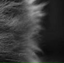 Олеся Матвійчук фотография #12 (источник - https://vk.com/id50923906)