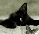 Фотография Суркова Максима