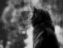 Фотография Котовой Наташеньки