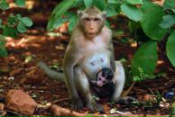 Дмитрий Нечаев фотография #49 (источник - https://vk.com/id745764)