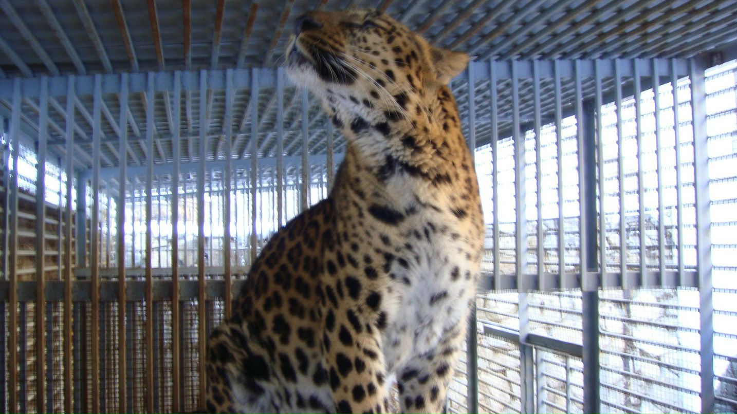 Игорь Татарчук фотография #18