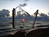 Фотография Талипова Руслана