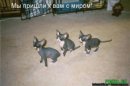 Андрій Львов фотография #49 (источник - https://vk.com/id28441248)