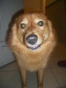 Фотография Лиманской Ольги