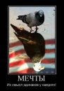Анатолій Д фотография #43 (источник - https://vk.com/id38993689)