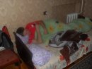 Іван Вишньовський фотография #19 (источник - https://vk.com/id57069846)