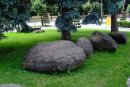 Віктор Ковалевський фотография #24 (источник - https://vk.com/id12740395)