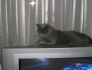 Сергій Вдовцов фотография #43 (источник - https://vk.com/id22286229)