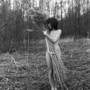 Οлег Κарпов фотография #34 (источник - https://vk.com/id674648)