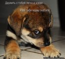 Сергій Погорілий фотография #28 (источник - https://vk.com/id275634377)