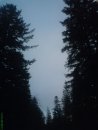 Олексій Риндик фотография #9 (источник - https://vk.com/id53645347)