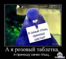 Міша Гузовський фотография #12 (источник - https://vk.com/id21884739)