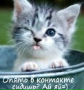 Бардецька Ірина фотография #23 (источник - https://vk.com/id179122511)