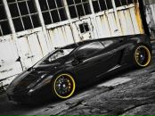 Віталік Нікітюк фотография #36 (источник - https://vk.com/id161624293)