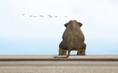 Марія Федорюк фотография #38 (источник - https://vk.com/id78634472)