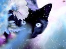 Юля Іванишина фотография #7 (источник - https://vk.com/id160797816)
