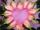 Анастасія Біловус фотография #20 (источник - https://vk.com/id172579826)