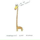 Фотография Янцен Елены