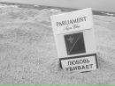 Дімончик Твердий фотография #21 (источник - https://vk.com/id117924239)