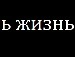 Вікочка Шемота фотография #19 (источник - https://vk.com/id136360961)