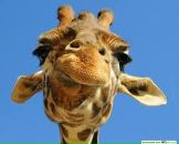 Фотография Иванова Сергея