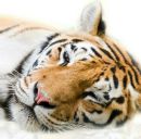 Діма Сень фотография #25 (источник - https://vk.com/id145533996)