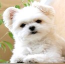 Іннуся Зух фотография #31 (источник - https://vk.com/id166484991)