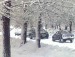 Ребекка Сабатіні фотография #13 (источник - https://vk.com/id139026115)