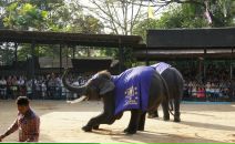 Анна Матвеенко фотография #10 (источник - https://vk.com/id982526)