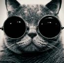 Аліна Кашпур фотография #37 (источник - https://vk.com/id153190856)