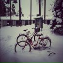 Женя Бойко фотография #25 (источник - https://vk.com/id21847)