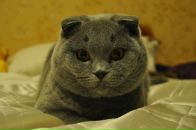 Віта Ромашук фотография #17 (источник - https://vk.com/id109102416)