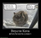 Вітя Меліка фотография #34 (источник - https://vk.com/id67286737)