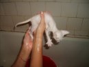 Дмитрий Поляков фотография #49 (источник - https://vk.com/id14412441)