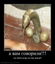 Віталій Лях фотография #23 (источник - https://vk.com/id9130346)