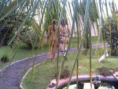 Bárbara-Kelly Serapião фотография #45 (источник - https://vk.com/id157688217)