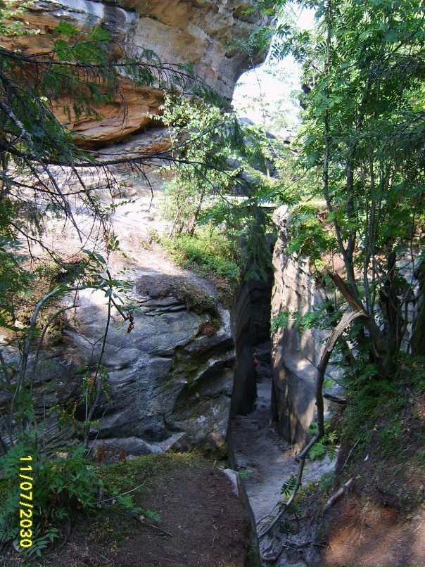 Евгений Трубицын фотография #35