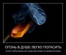 Діма Старинський фотография #45 (источник - https://vk.com/id148220181)