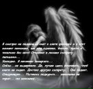 Фотография Фохт Дмитрий