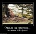  фотография #26