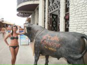Танічка )))) фотография #32 (источник - https://vk.com/id68133643)