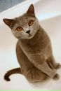 Фотография Кочеткова Юлия