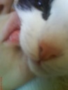 Фотография Котя Вася