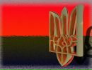 Вова Націоналіст фотография #22 (источник - https://vk.com/id102363994)