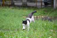 Константин Басалаев фотография #41 (источник - https://vk.com/id257097)