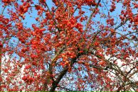 Фотография Кнорринг Екатерины