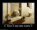 Фотография Александры Александры