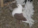 Ігор Михалюк фотография #24 (источник - https://vk.com/id152222959)