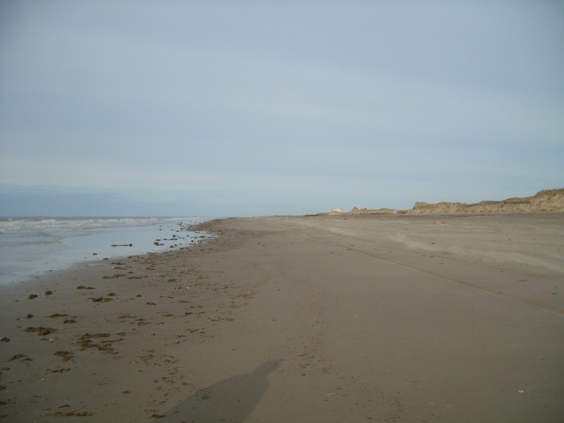 Дмитрий Соснин фотография #34