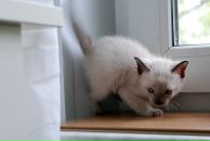 Фотография Львовой Женечки